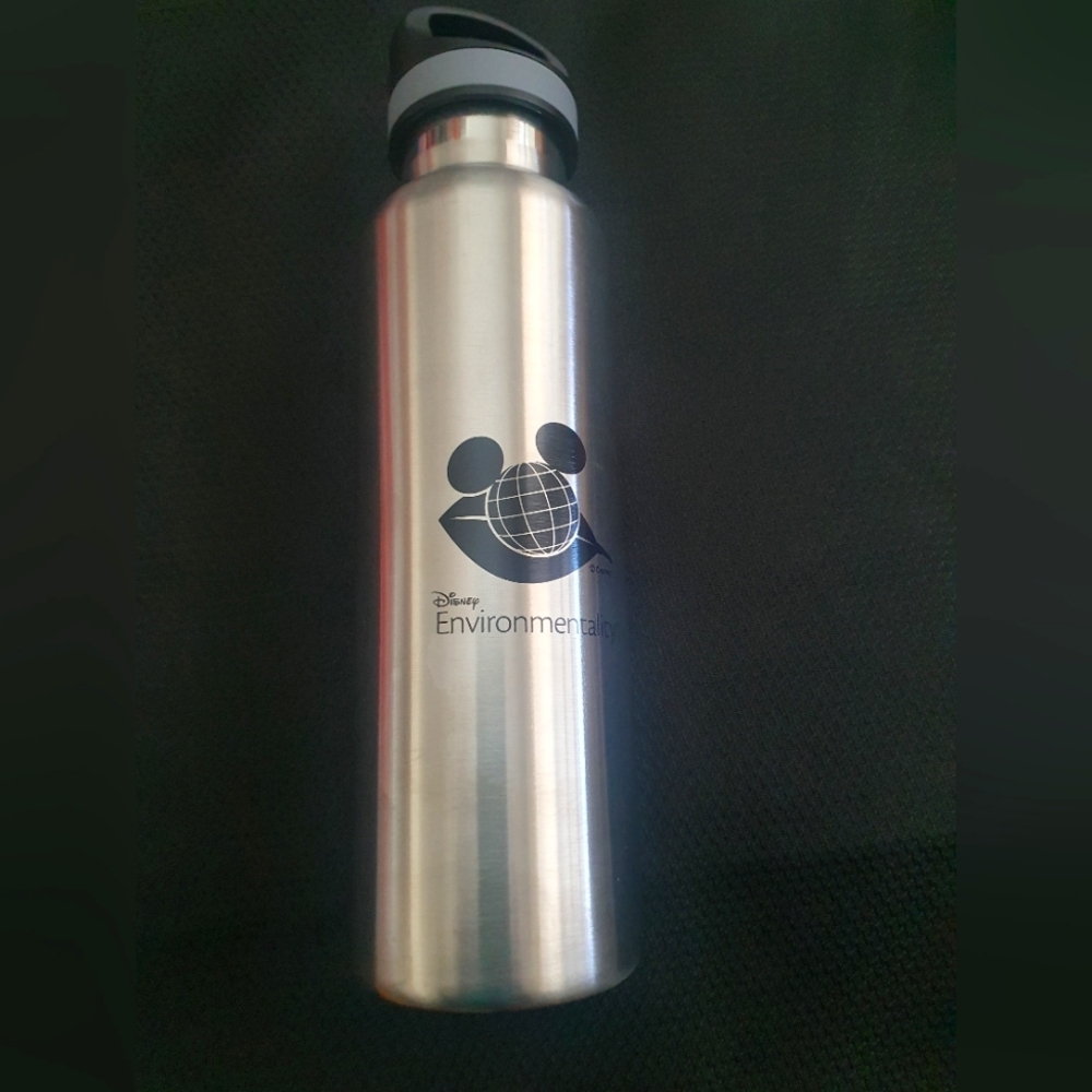 Disney stainless water bottle